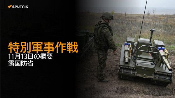 【特別軍事作戦 11月13日の概要 露国防省】 - Sputnik 日本