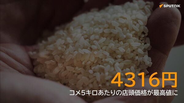 【コメ価格、過去最高値に】 - Sputnik 日本
