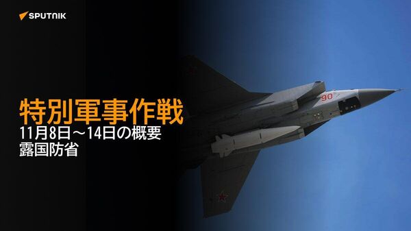 【特別軍事作戦 11月8日～14日の概要 露国防省】 - Sputnik 日本