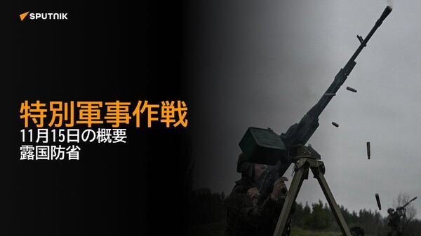 【特別軍事作戦 11月15日の概要 露国防省】 - Sputnik 日本