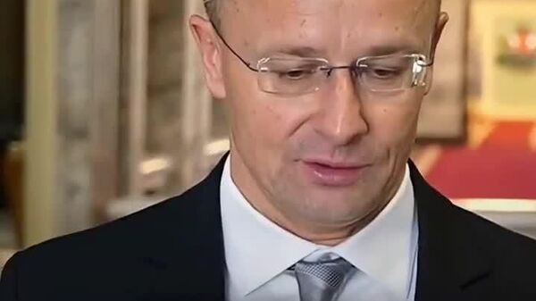 【ハンガリーは「ウクライナのマフィア」のEU入りを認めない＝同国外相】 - Sputnik 日本