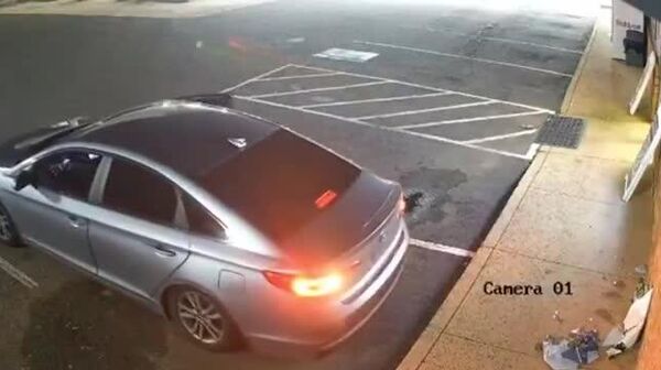 【常軌を逸した強盗：泥棒9人が車1台で現場に 米国】 - Sputnik 日本