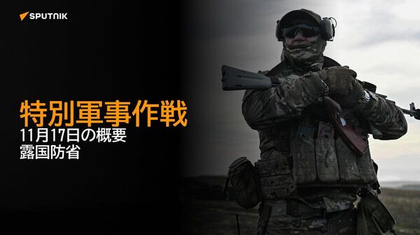 【特別軍事作戦 11月17日の概要 露国防省】 - Sputnik 日本