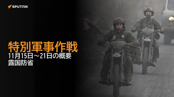 【特別軍事作戦 11月15日～21日の概要 露国防省】 - Sputnik 日本