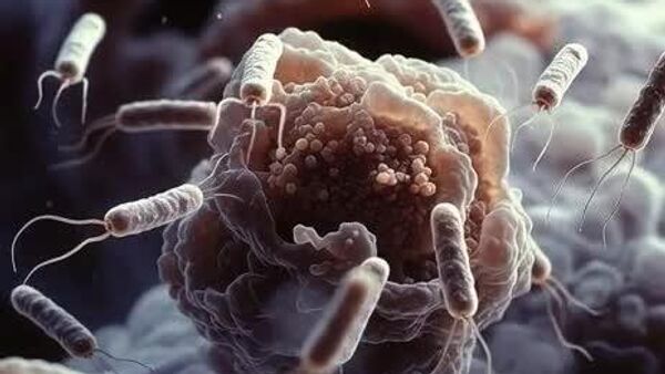 【海洋細菌を使った新たながん免疫療法 日本の研究者らが開発】 - Sputnik 日本