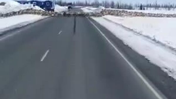 【カムチャッカに開かずの道路あり】 - Sputnik 日本