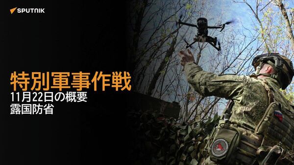 【特別軍事作戦 11月22日の概要 露国防省】 - Sputnik 日本