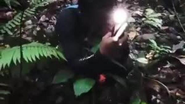 【13年間探していた「幻の花」を見つけた男性が嬉し泣き】 - Sputnik 日本