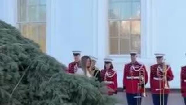 【メラニア夫人、ホワイトハウスでクリスマスツリーを受け取る】 - Sputnik 日本