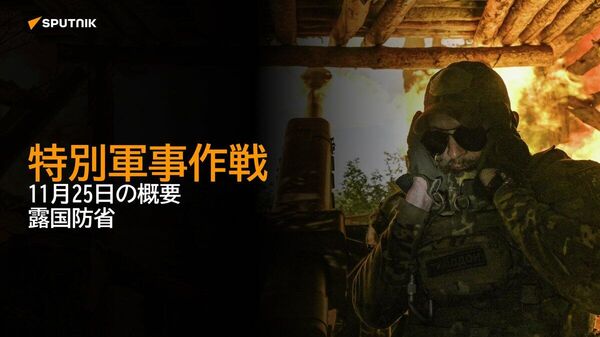 【特別軍事作戦 11月25日の概要 露国防省】 - Sputnik 日本