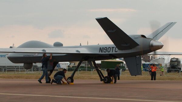 【「MQ9Bシーガーディアン」とは何か？】(2/2) - Sputnik 日本