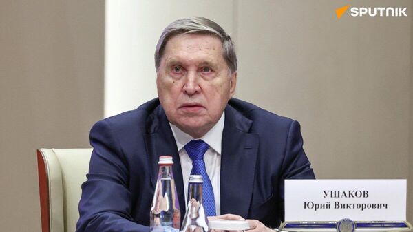 【露宇の情報機関当局者、アブダビで協議を実施＝露大統領補佐官】 - Sputnik 日本