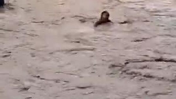 【フィリピンで教師が洪水の中を泳ぎ切り、学校から脱出】 - Sputnik 日本