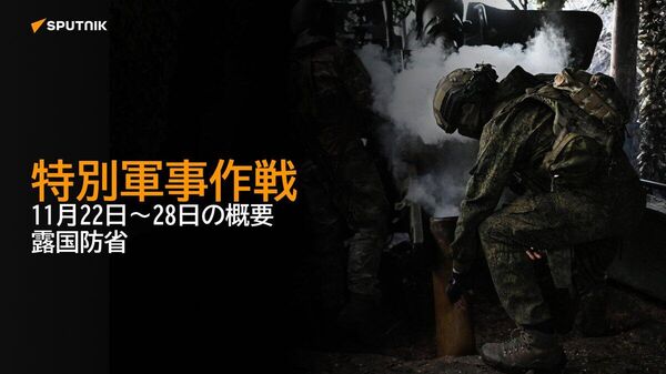 【特別軍事作戦 11月22日～28日の概要 露国防省】 - Sputnik 日本