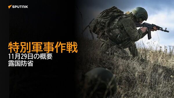 【特別軍事作戦 11月29日の概要 露国防省】 - Sputnik 日本