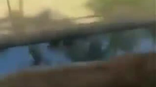 【雌ライオン ゲージ潜入の男性を殺傷】 - Sputnik 日本