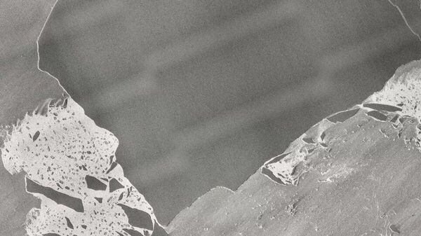 【分離、分裂した世界最大の氷山А23а 今の様子を宇宙から見るとこうなる】 - Sputnik 日本