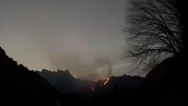 【妙義山で山火事 延焼続く】 - Sputnik 日本