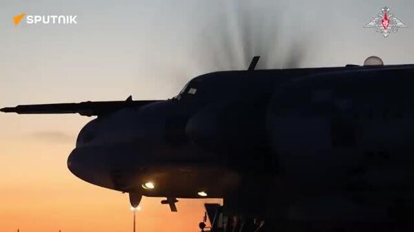 【ロシアと中国、アジア太平洋上空で合同哨戒活動を実施】 - Sputnik 日本