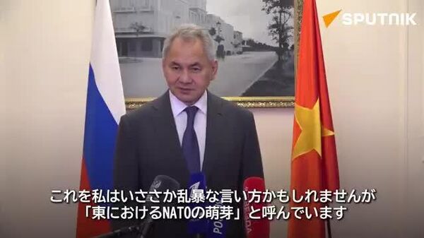 【日本のNATO接近は「じわじわ進行中」 ショイグ露国家安全保障会議書記】 - Sputnik 日本