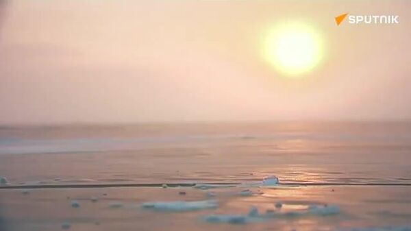 【伝説のキャタピラー型全地形対応車「ヴィーチャシ」がフォーラム「北極2025」に参加】 - Sputnik 日本