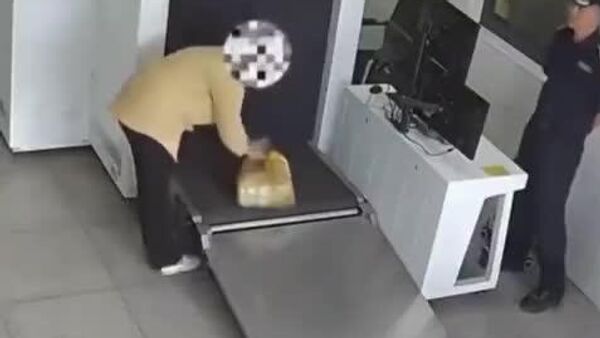 【ズボンに生きた芋虫を隠蔽 中国税関で女性3人が拘束】 - Sputnik 日本