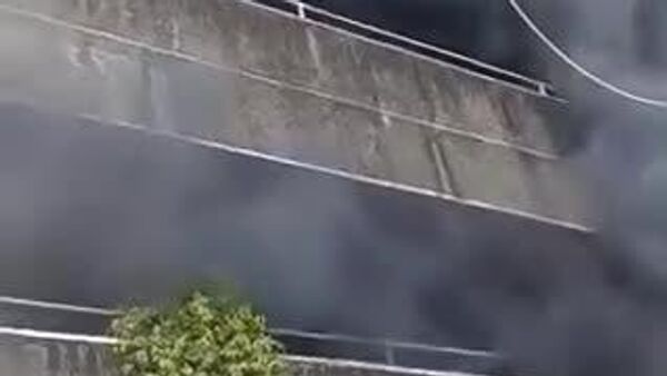 【「私より犬を先に⋯」 女性が命がけの行動】 - Sputnik 日本