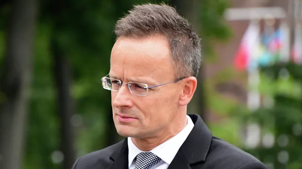 【EUがロシアの資産没収を望むのはロシアとの紛争続行のため＝ハンガリー外相】 - Sputnik 日本