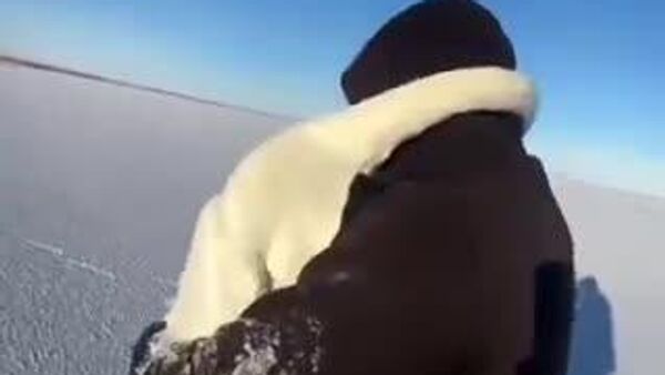 【カザフスタンの男性、凍った湖で死にかけていた白鳥のつがいを救助】 - Sputnik 日本