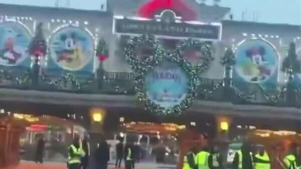 【フランスの清掃員がストライキ、夢の国をゴミ捨て場に変える】 - Sputnik 日本