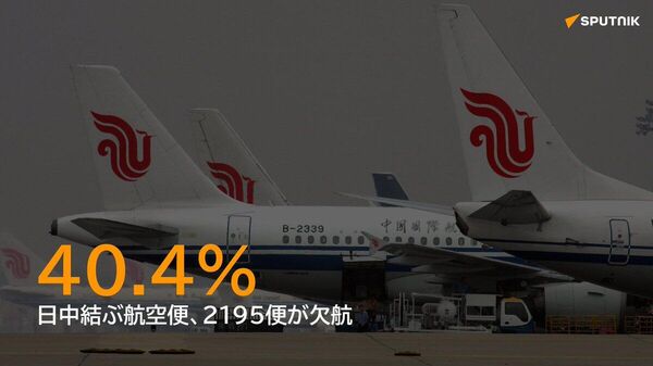 【日中航空便、1月は40％超が欠航】 - Sputnik 日本