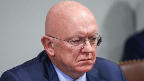 【露国連大使が米国の対ベネズエラ政策を批判、地下資源の獲得が狙い】 - Sputnik 日本