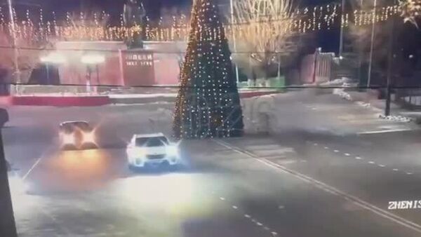 【カザフの走り屋、ドリフトでツリー転倒】 - Sputnik 日本