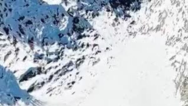 【ワシがドローンを「ハイジャック」 自撮りも】 - Sputnik 日本