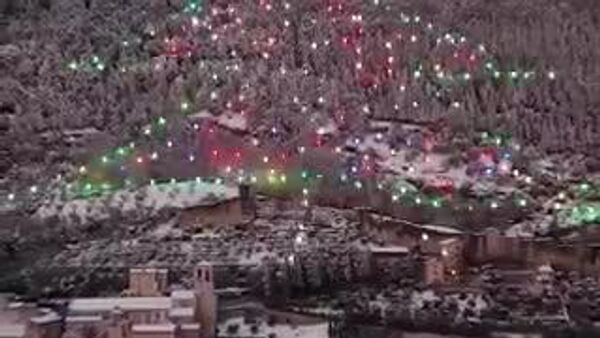 【イタリアで再び「世界最大のクリスマスツリー」点灯】 - Sputnik 日本