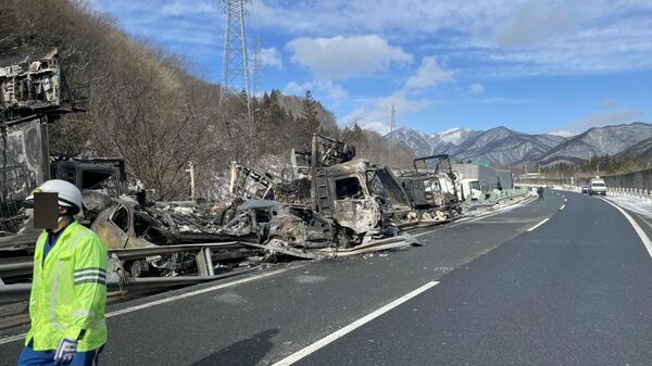 【関越道多重事故 関係した車両67台に 通行止め続く】 - Sputnik 日本