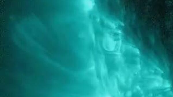 【M5 - Sputnik 日本