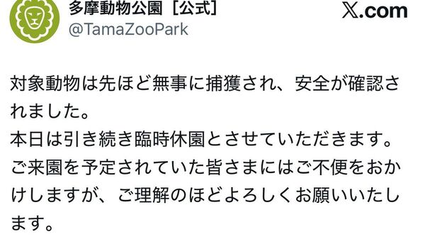 【脱走オオカミが無事捕獲 多摩動物公園】 - Sputnik 日本