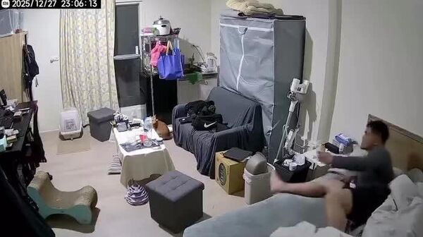 【👦一緒に逃げるぞ！ 🐈嫌だニャ！】 - Sputnik 日本