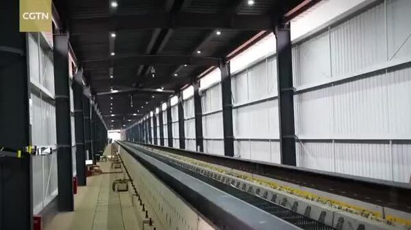 【時速700キロ… それを2秒で加速？！】 - Sputnik 日本