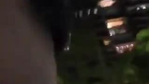 【文明の恩恵 動物だって預かりたい】 - Sputnik 日本