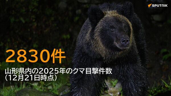 【山形県 「クマ出没注意報」を発令中】 - Sputnik 日本