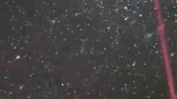 【東京で初雪を観測】 - Sputnik 日本