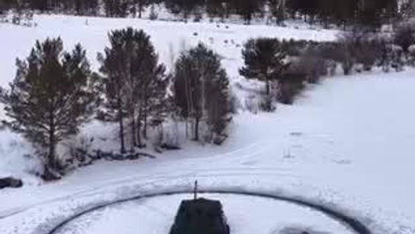 【氷上のメリーゴーランド】 - Sputnik 日本