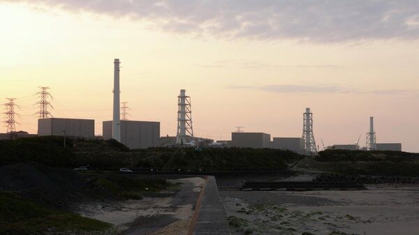 【中部電力 浜岡原発 再稼働向け審査に不適切な手法を謝罪】 - Sputnik 日本