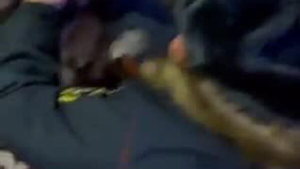 【真の救助隊は、すべての命を大切にする】 - Sputnik 日本