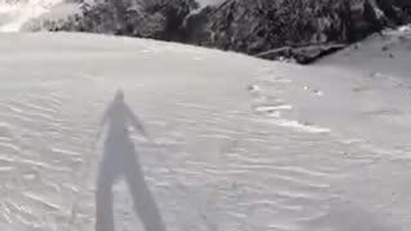 【雪崩に巻き込まれかけた女性、愛犬とともに難を逃れる】 - Sputnik 日本