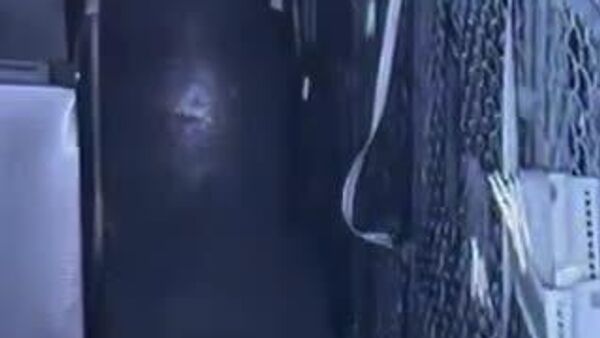 【頭が良すぎる犬、保護施設から脱走】 - Sputnik 日本