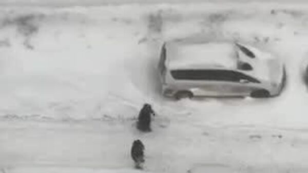 ❄️ モスクワは9日、実に56年ぶりの豪雪に見舞われた。市民は1メートル余の吹き溜まりの町を移動する新しい手段を考案。 - Sputnik 日本