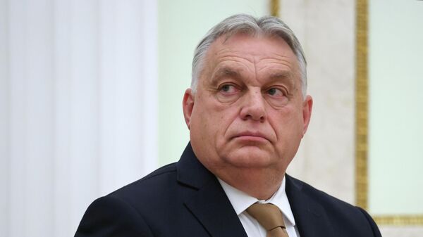 Президент Владимир Путин провел встречу с премьер-министром Венгрии Виктором Орбаном - Sputnik 日本